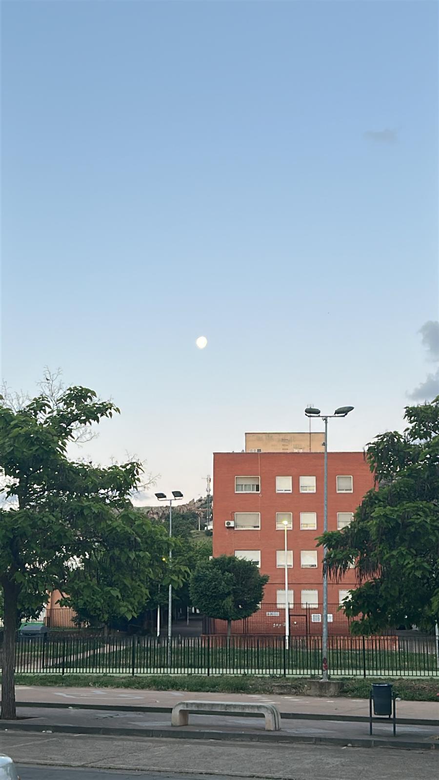 Uploaded image