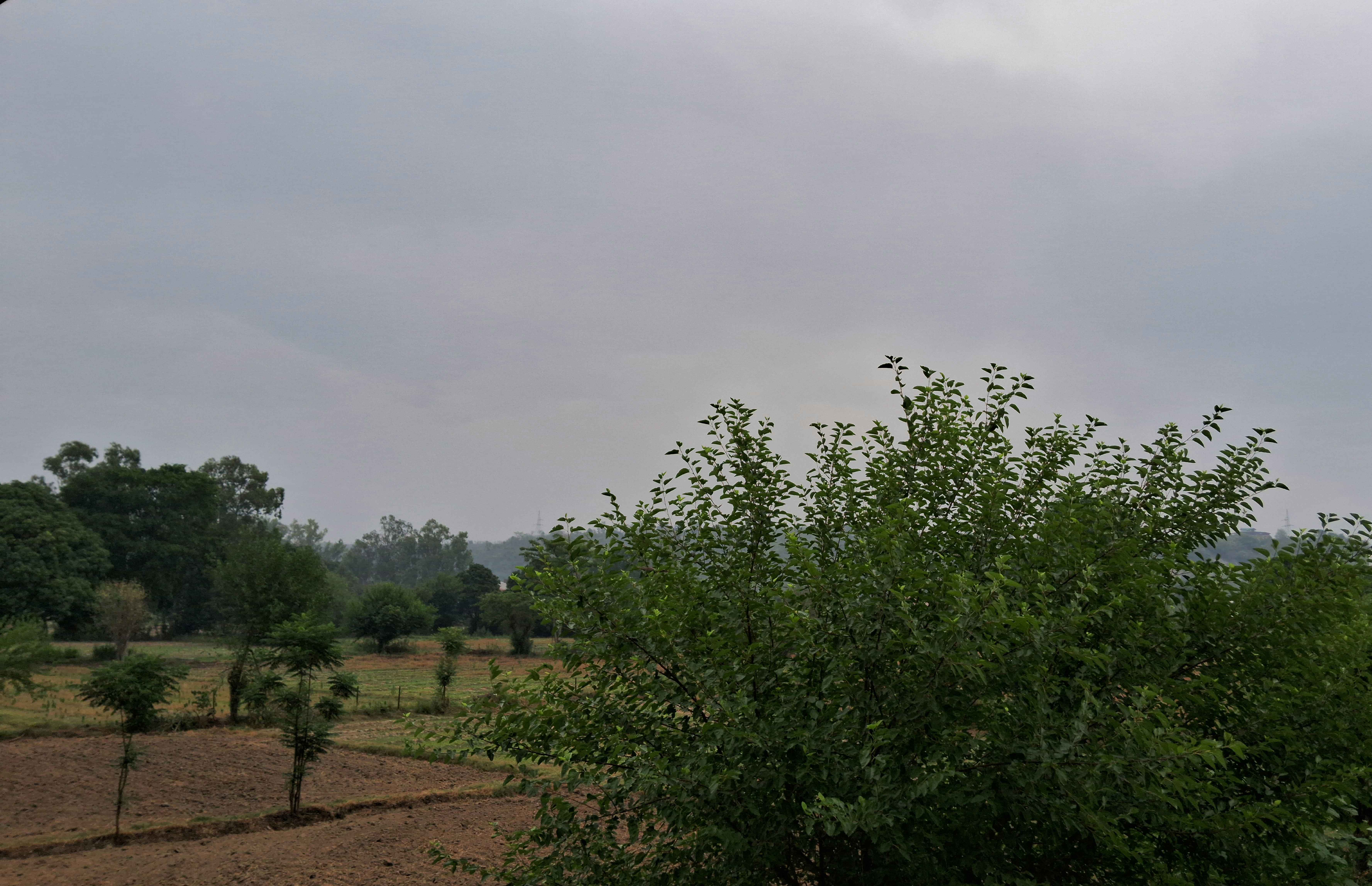 Uploaded image