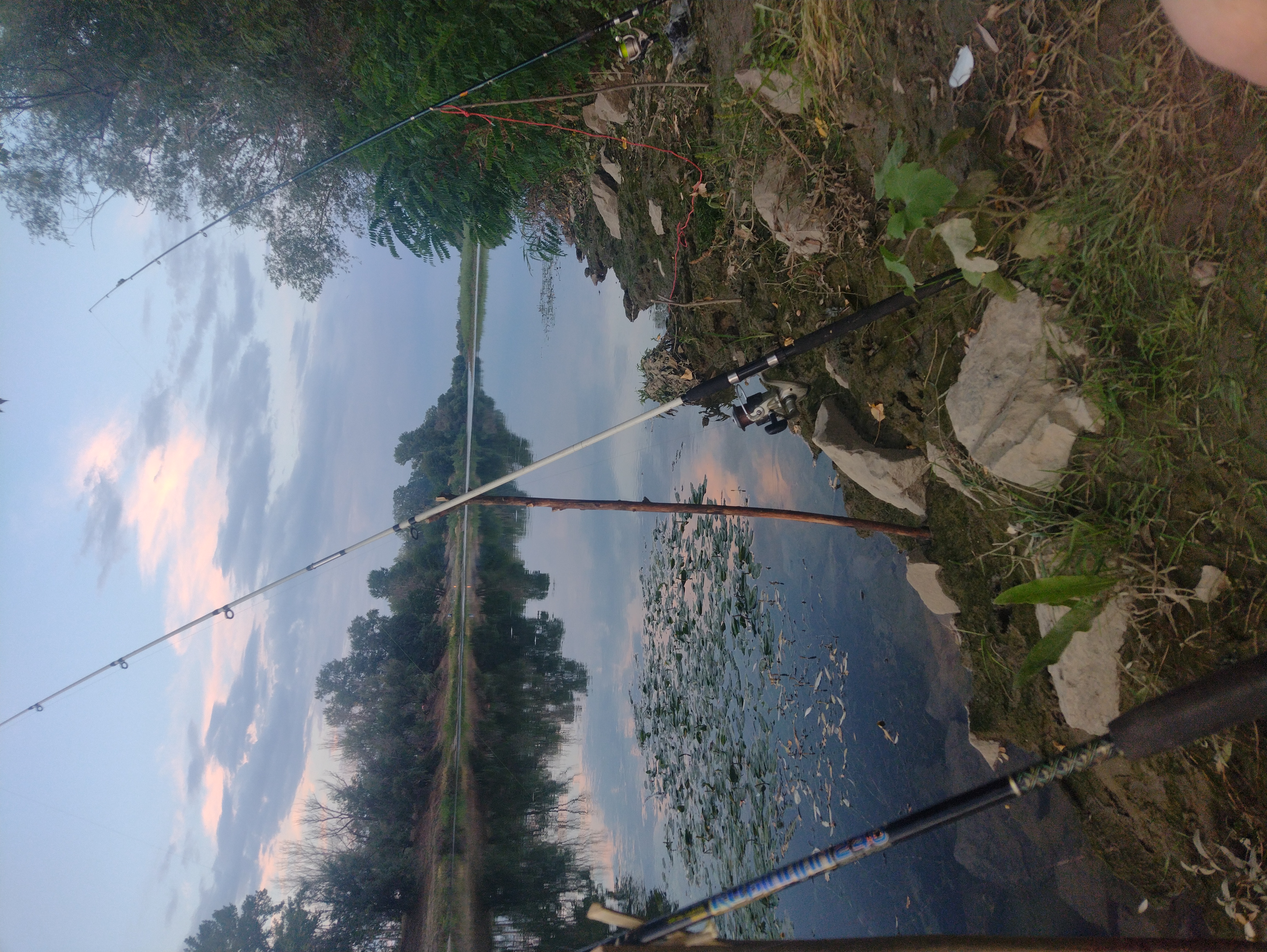 Uploaded image