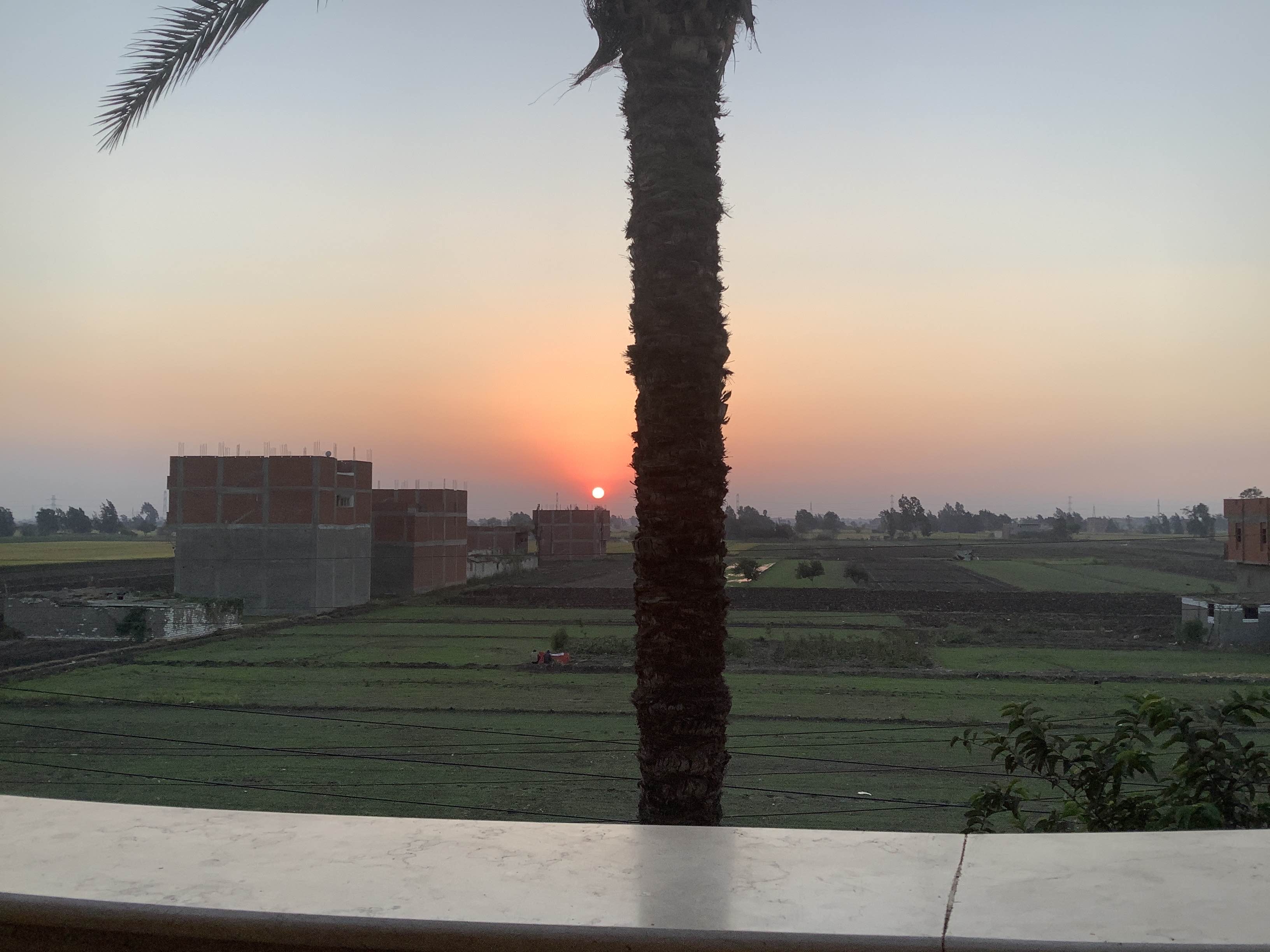 Uploaded image