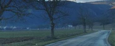 Uploaded image