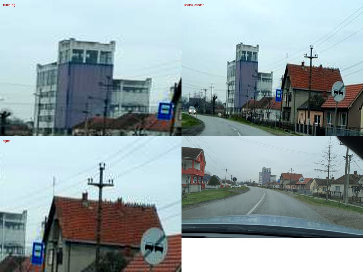 Uploaded image