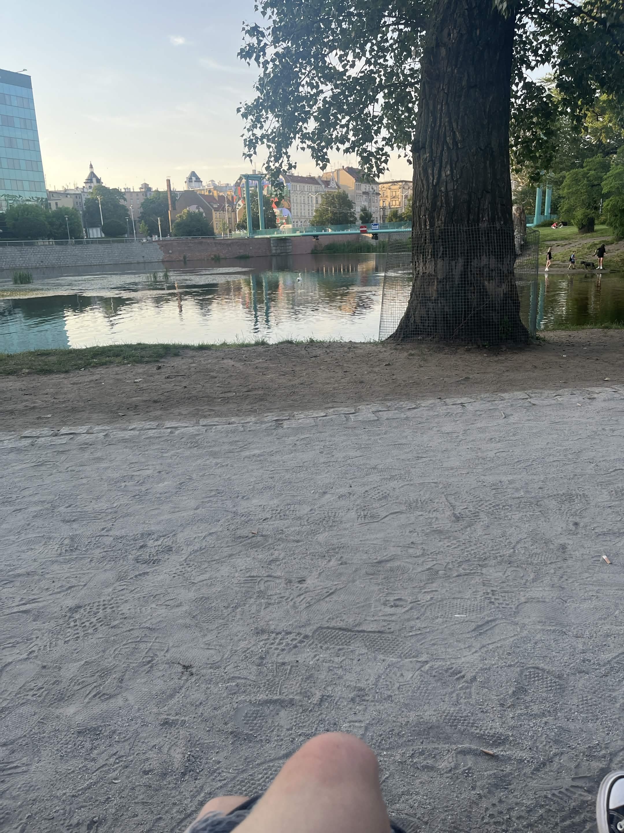 Uploaded image