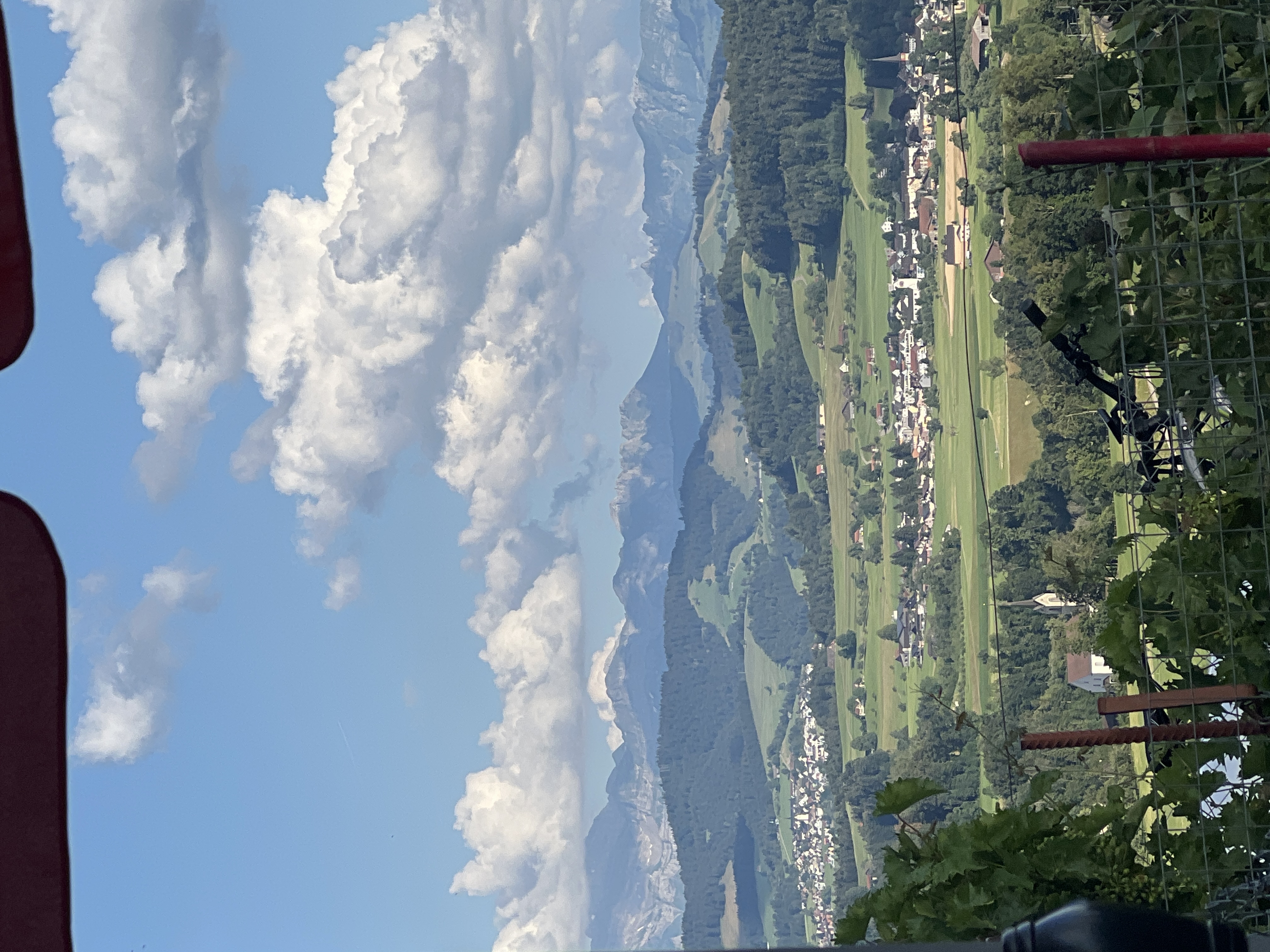 Uploaded image