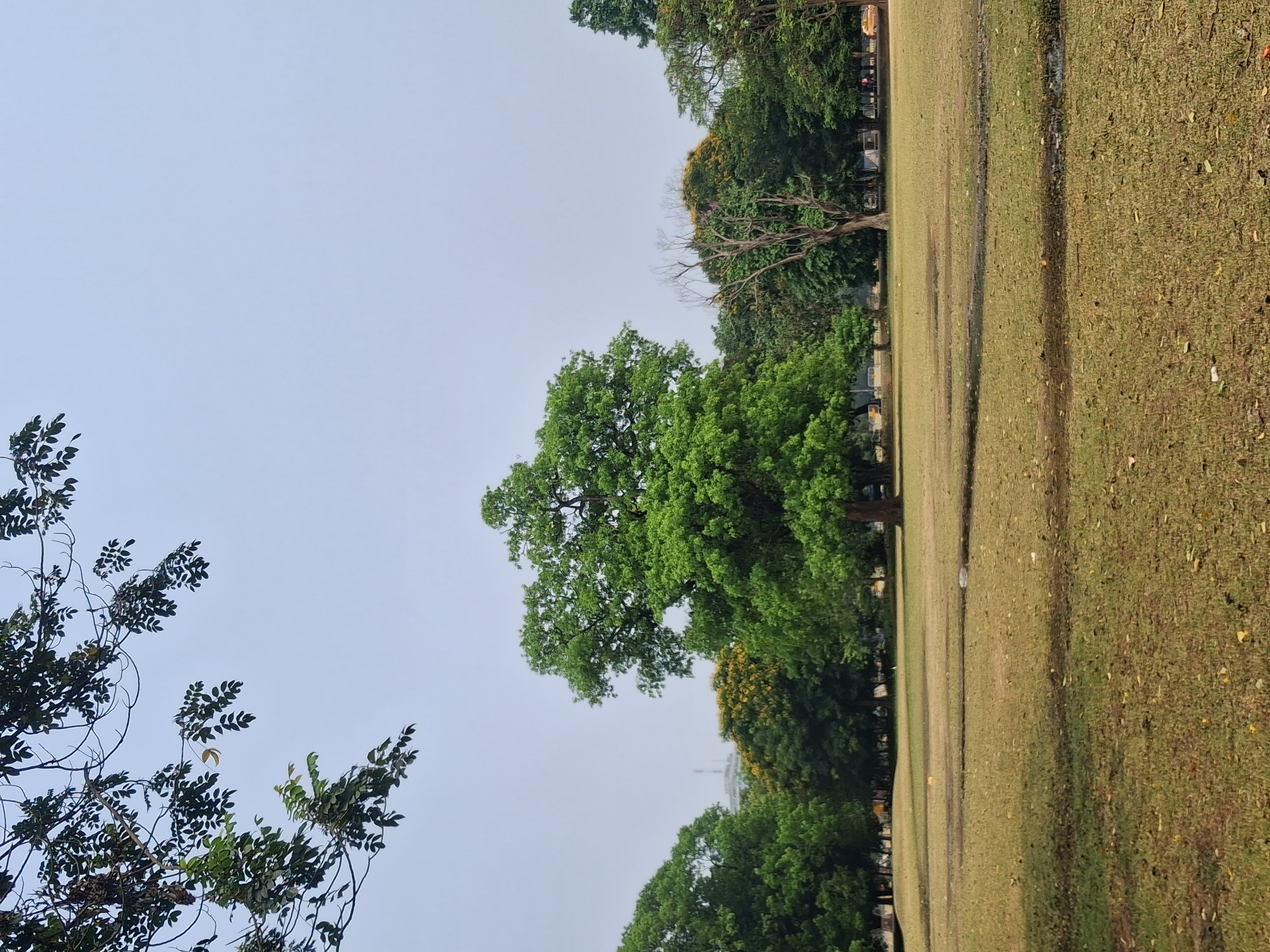 Uploaded image