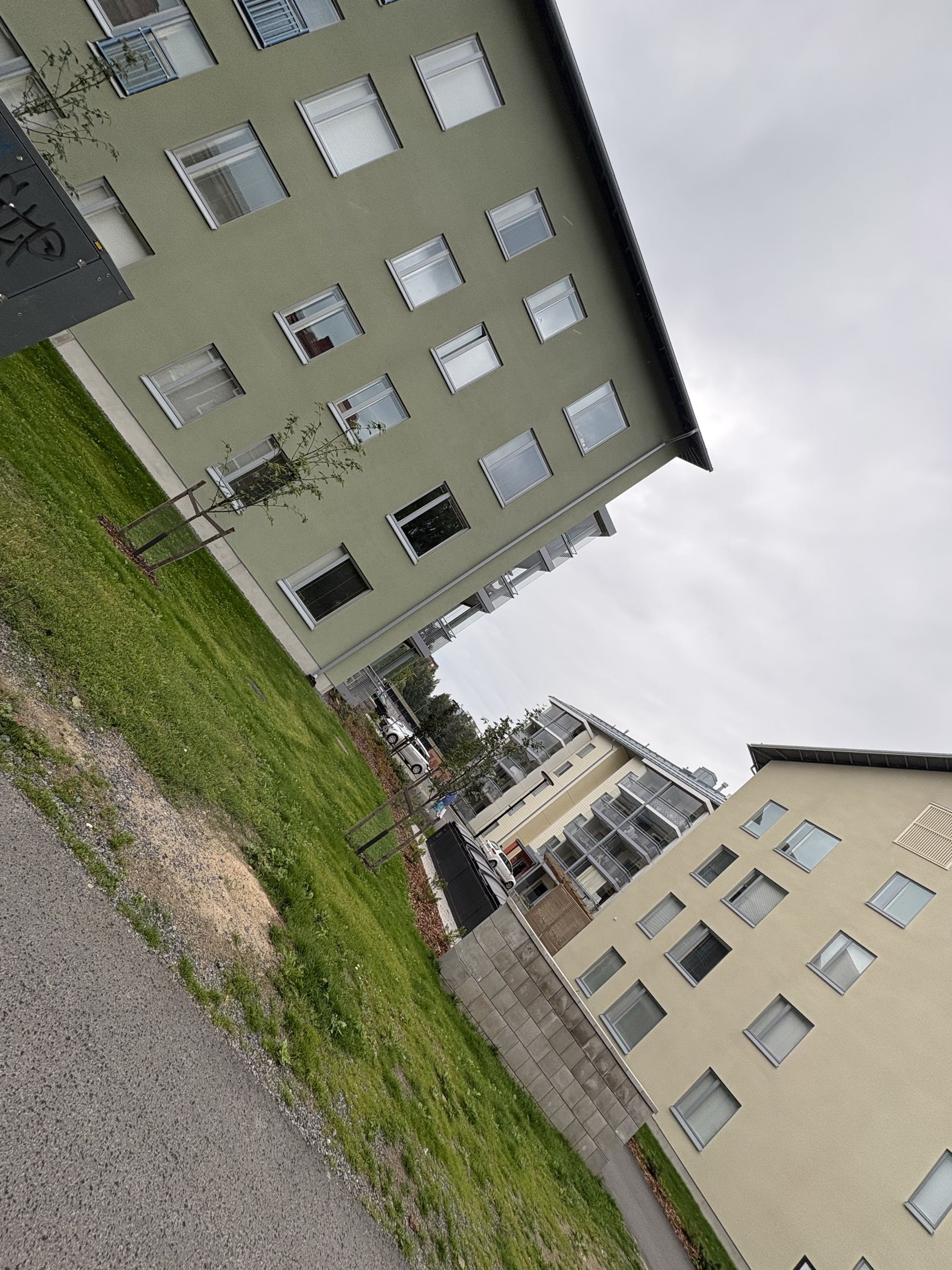 Uploaded image