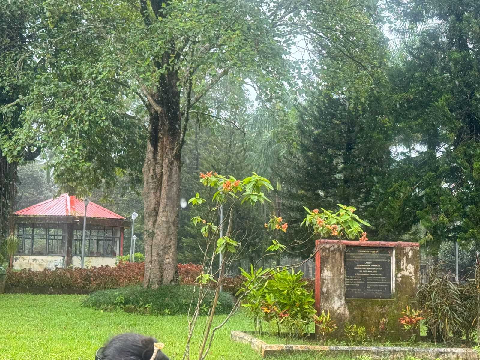 Uploaded image