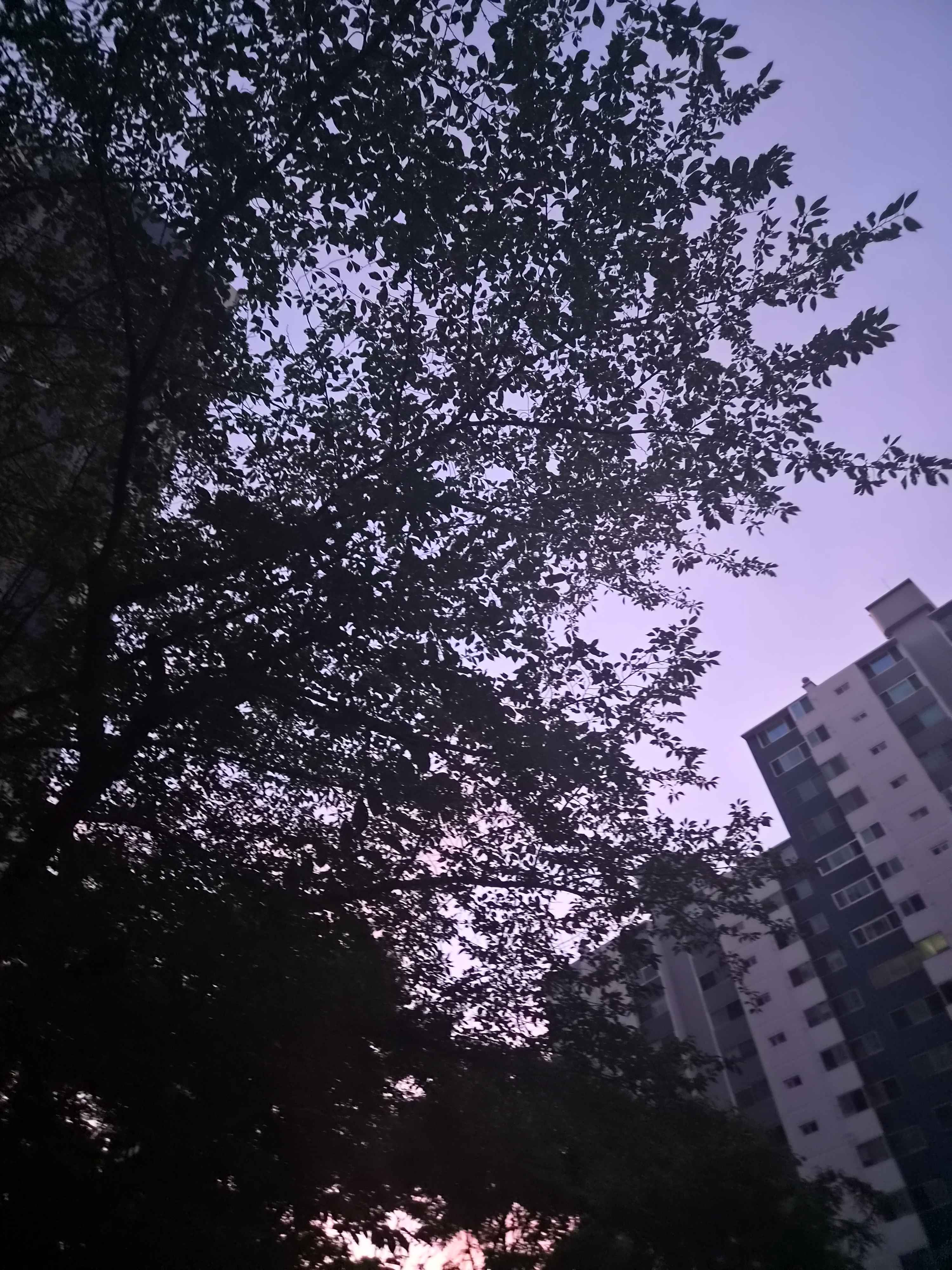 Uploaded image